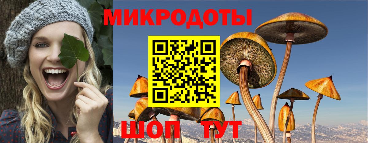 Галлюциногенные грибы Psilocybe  как найти закладки  Отрадный  Вход с VPN  Галлюциногенные грибы мухоморы 